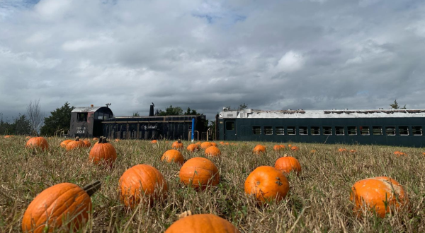 The Pumpkin Patch Express Train Ride In South Carolina Is Scenic And Fun For The Whole Family