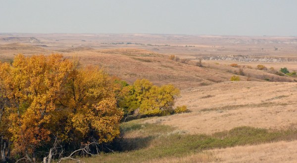 When And Where To Expect North Dakota’s Fall Foliage To Peak This Year