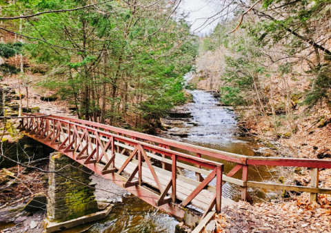 Hike Miles Of Beautiful Trails And Check Out A Gorgeous Waterfall At This Preserve In New York