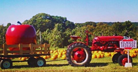 This Charming Apple Orchard In Connecticut Is Picture Perfect For A Fall Day