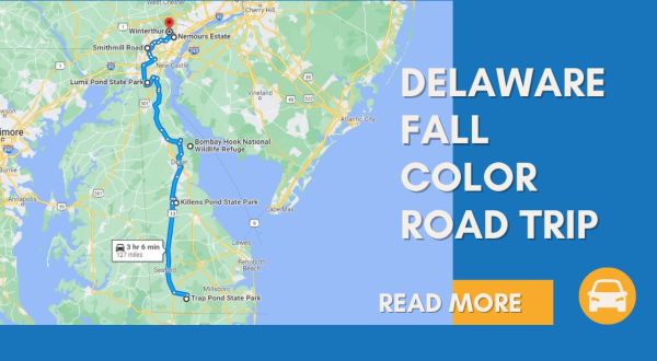 Take This Gorgeous Fall Foliage Road Trip To See Delaware Like Never Before