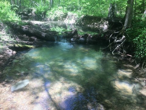 Celebrate The Beauty Of The Hoosier State On Indiana's Beautiful Sycamore Loop Trail
