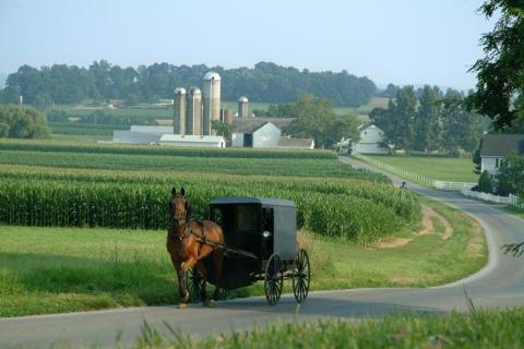The Homemade Goods From This Amish Store In Wisconsin Are Worth The Drive To Get Them