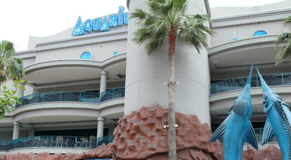The Downtown Aquarium In Texas Has Officially Been Named One Of The Best In The Country