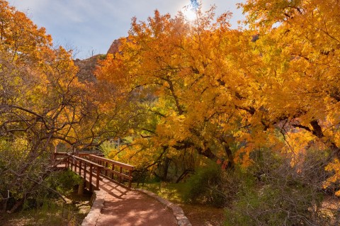 Arizona's Oldest And Largest Botanical Garden, Boyce Thompson Arboretum, Has Some Of The Most Dazzling Fall Foliage In The State