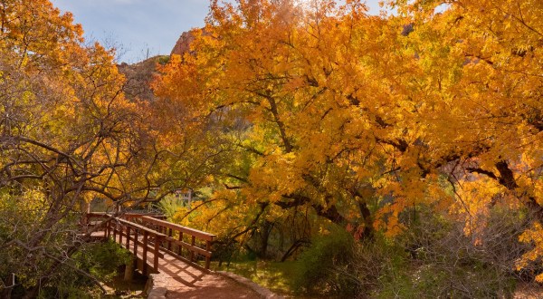 Arizona’s Oldest And Largest Botanical Garden, Boyce Thompson Arboretum, Has Some Of The Most Dazzling Fall Foliage In The State