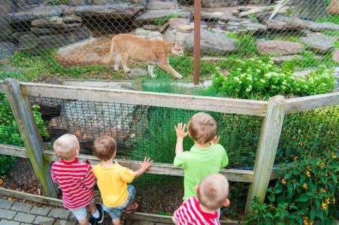 One Of The Smallest Zoos In The Nation Is Hiding Right Here In Kansas And It's Incredible