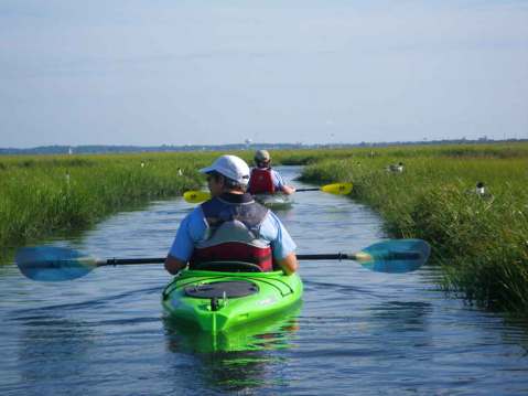 Paddle Through The Burton Island Ecosystem On A Wildlife Kayak Tour In Delaware
