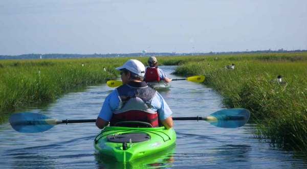 Paddle Through The Burton Island Ecosystem On A Wildlife Kayak Tour In Delaware