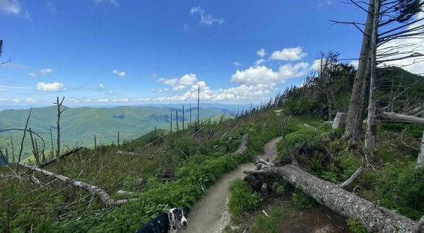 You Have Until The End Of October To Conquer North Carolina’s Deep Gap Trail