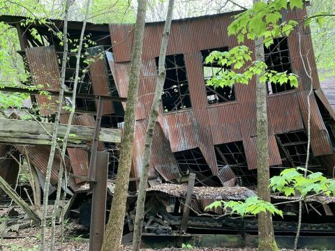 A Mysterious Woodland Trail In West Virginia Will Take You To The Original Brooklyn Mine Ruins