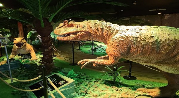 Travel Back To The Age Of Dinosaurs At Jurassic Gardens Indoor Dinosaur Park In Illinois