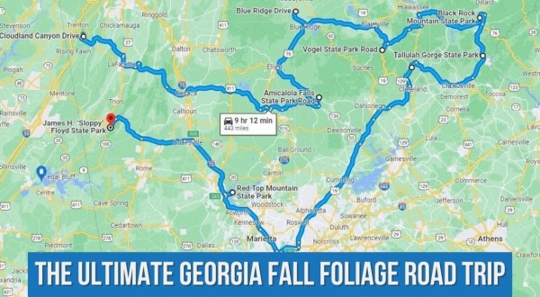 Take This Gorgeous Fall Foliage Road Trip To See Georgia Like Never Before