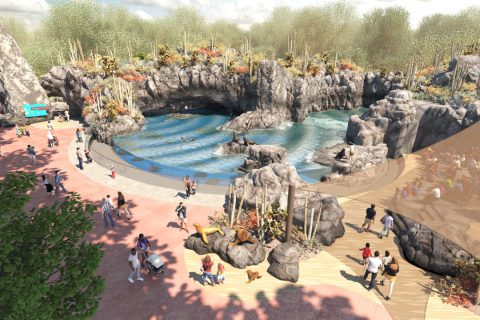 In 2022, You Can Journey To The Galápagos Islands Without Leaving Texas At The Houston Zoo
