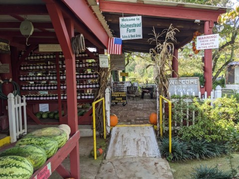 A Visit To Alabama's 95-Acre Holmestead Farm Is A Great Way To Spend A Fall Day