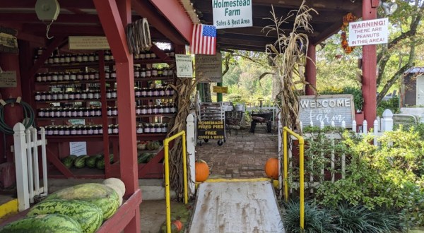 A Visit To Alabama’s 95-Acre Holmestead Farm Is A Great Way To Spend A Fall Day