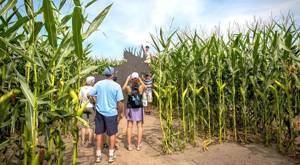 Get Lost In These 13 Awesome Corn Mazes In Massachusetts This Fall