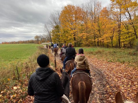 Take A Fall Foliage Trail Ride On Horseback At Stony Lake Stables In Michigan