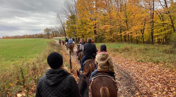 Take A Fall Foliage Trail Ride On Horseback At Stony Lake Stables In Michigan