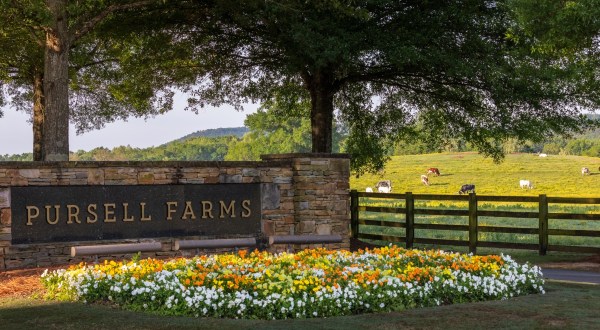 Experience Relaxed Luxury And So Much More At Pursell Farms In Alabama