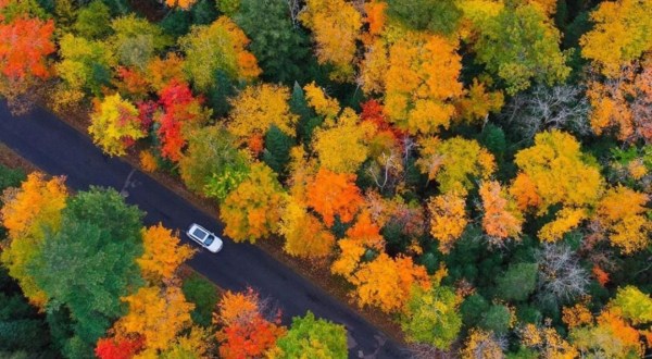 When And Where To Expect Wisconsin’s Fall Foliage To Peak This Year