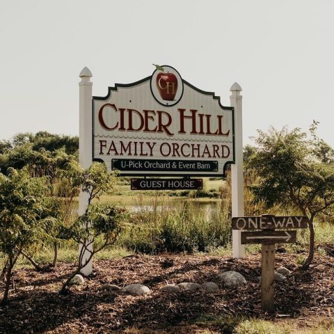 Devour Apple Cider Donuts While Picking Apples At This Family Orchard In Kansas