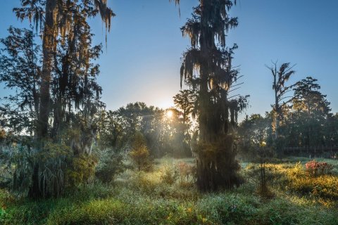 This Swamp Nature Park Will Offer You A Hidden Glimpse Into The Wetlands And Woodlands Of Georgia