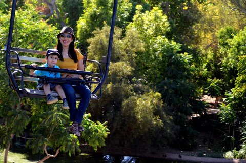 Few People Know One Of Arizona's Largest Zoos Is Also An Amusement Park