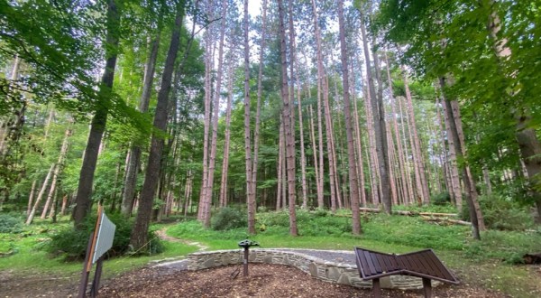 The Autism Nature Trail In New York Is The First Of Its Kind
