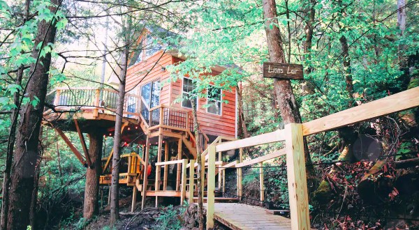 Spend The Night Stargazing In A Treehouse Near Red River Gorge In Kentucky