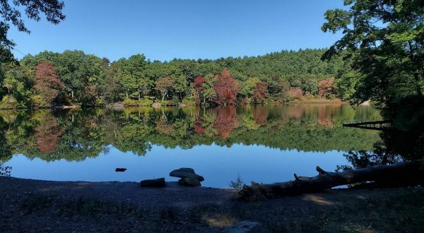 You’ll Want To Spend The Entire Day At The Gorgeous Natural Pool In Massachusetts’s Houghton’s Pond Recreation Area