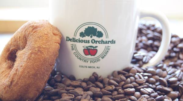 The 7 Best Places In New Jersey To Get Your Cider Donut Fix This Fall