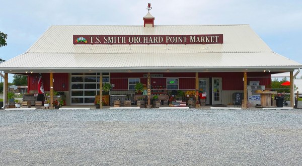 Try The Apple Cider Slushies At T.S. Smith Orchard For A Sweet Treat This Season