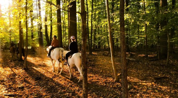 Take A Fall Foliage Trail Ride On Horseback At Juckas Stables In New York