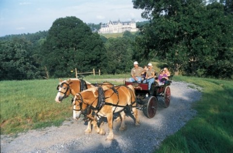 Take A Horseback Ride, A Carriage Ride, Or A Kayak Trip All At The Biltmore This Fall In North Carolina