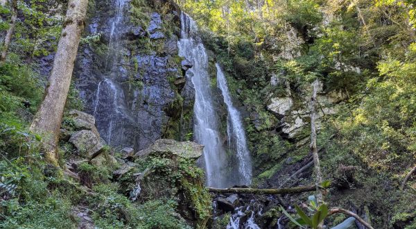 The Lee Falls Trail Just Might Be The Most Beautiful Hike In All Of South Carolina