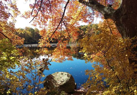 Fall Just Might Be The Best Time To Visit The Connecticut College Arboretum