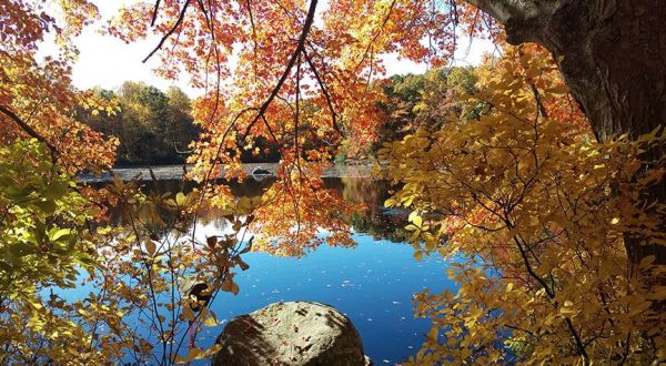 Fall Just Might Be The Best Time To Visit The Connecticut College Arboretum