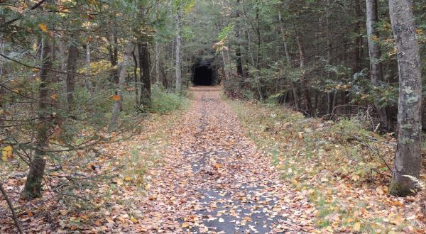 There’s Nothing Quite As Magical As The Railroad Tunnel You’ll Find At Steep Rock Preserve In Connecticut