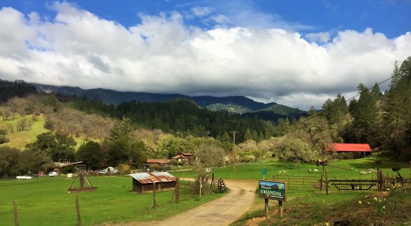 Slow Down With A Getaway To A Farm Along The Eel River In Northern California
