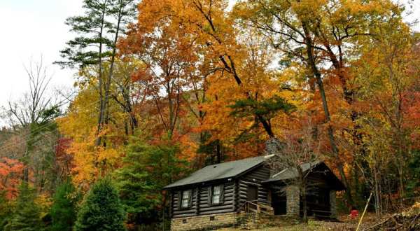 The Cottages At Vogel State Park In Georgia Offer The Perfect Fall Getaway