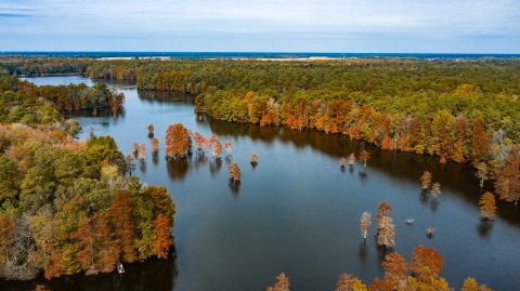 Trap Pond State Park Is The Perfect Place For A Fall Camping Getaway In Delaware