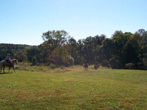 Take A Fall Foliage Trail Ride On Horseback At Bear Branch Horse Campground In Illinois