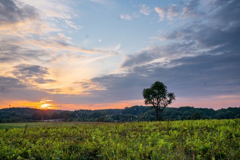 There's Nothing Quite As Magical As The Rolling Valley Views You'll Find At Brandywine State Park In Delaware