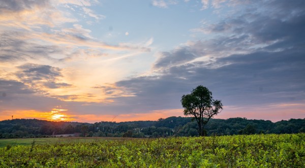 There’s Nothing Quite As Magical As The Rolling Valley Views You’ll Find At Brandywine State Park In Delaware