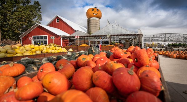 Enjoy Seasonal Fall Treats And Family Fun At Goebbert’s Farm In Illinois