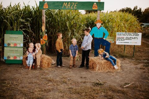 Enjoy Endless Fall Fun And An 11-Acre Maze At Oklahoma Heritage Farms