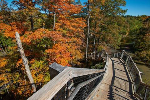 One Of The Best Fall Hikes In Ohio, The Fort Hill Loop Is A Short-And-Sweet Outdoor Adventure