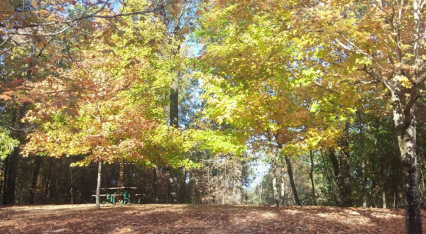 The Awesome Hike That Will Take You To The Most Spectacular Fall Foliage In Mississippi