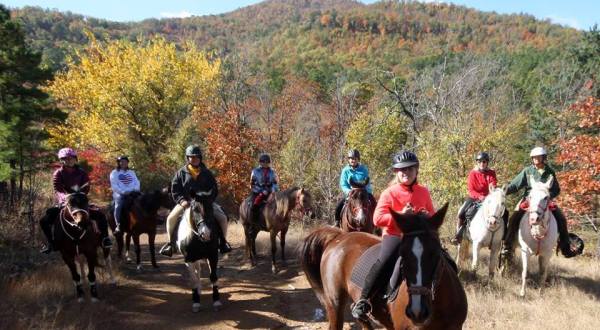 Take A Fall Foliage Trail Ride On Horseback At Daystar Horseback Riding In Arkansas